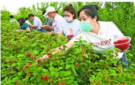 向幸福旅程進(jìn)發(fā) 各地探索旅游業(yè)新動能