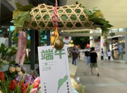 端午將至 艾草、香樟等契合節(jié)日氛圍的花卉走俏市場