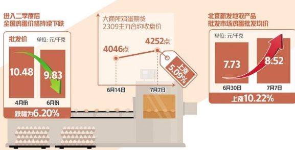 蛋價(jià)持續(xù)下跌后快速反彈 三季度雞蛋消費(fèi)有望提振