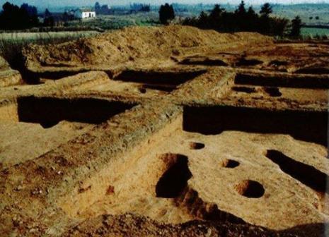 駱駝墩遺址：填補(bǔ)太湖西部7000年前考古學(xué)文化空白