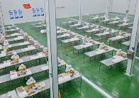 河南省1.3億“真金白銀”助力綠色食品發(fā)展