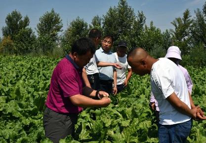 給中國糖料作物發(fā)展添磚加瓦——FAO“糖料作物生態(tài)安全種植和資源循環(huán)利用”技術(shù)合作項目回顧