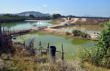 農(nóng)村生活污水治理明確新標準