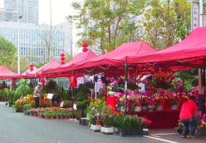 “花樣經(jīng)濟(jì)”消費(fèi)熱度不減 “鮮花軌跡”縱跨南北扮靚中國(guó)年