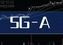 華為：2024年是5G-A商用元年