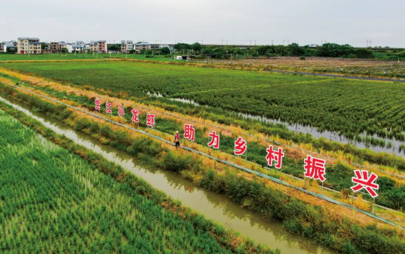 唱好“山海經(jīng)”——廣西合浦大力發(fā)展農(nóng)業(yè)特色優(yōu)勢(shì)產(chǎn)業(yè)見(jiàn)聞