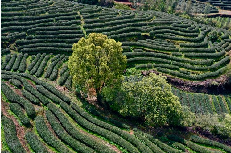 福建：加快推動“兩山”轉(zhuǎn)化路徑