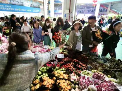 以“花”為媒 鮮花經(jīng)濟(jì)為消費(fèi)增添新活力