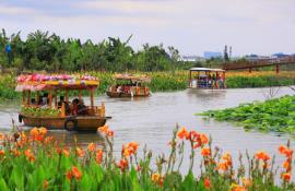 暑期自然教育活動(dòng)受追捧！廣東濕地旅游熱度升溫