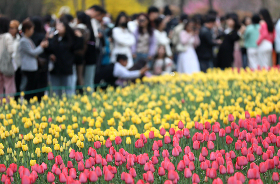 文旅消費升溫 市場活力釋放——2024年中秋假期盤點