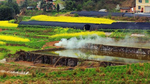 廣西力爭(zhēng)5年實(shí)現(xiàn)地籍“一張圖”全覆蓋