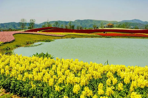 國(guó)慶假期各地發(fā)揮優(yōu)勢(shì)特色 縣域旅游釋放發(fā)展新動(dòng)能