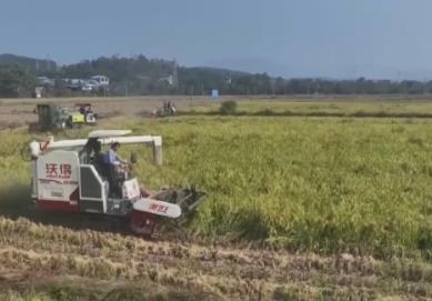 魚滿塘、糧滿倉、播種忙 希望的田野“豐”景不斷 映照農(nóng)民紅火好日子