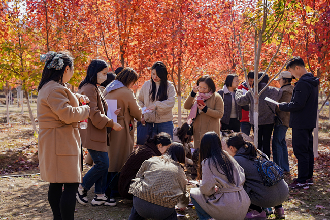 這場紅楓下的活動，有新意更有“心意”