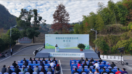 繁榮茶產(chǎn)業(yè)生態(tài)推廣有機(jī)茶品牌 蘄春召開有機(jī)茶園建設(shè)成果展示會(huì)