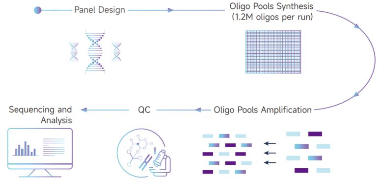 創(chuàng)新引領未來——銘毅智造重磅推出高通量Oligo合成服務